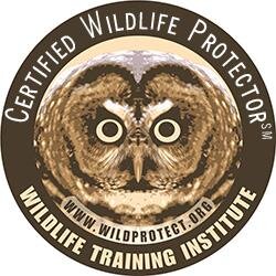 Wildlife Training Institute - Teaching arborists and tree care professionals how to protect wildlife.