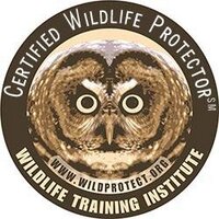 WTI(@wildlifetrainer) 's Twitter Profile Photo