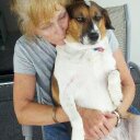 sandy andrews - @sandyaoh - Twitter