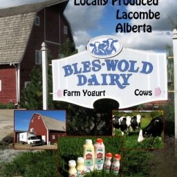 Proud dairy family,  Procross breeders, happy to farm & live in Alberta