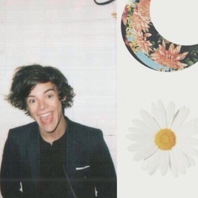 Heyyy go follow @donuttharry bc she just gave u a free follow come on do it help a sister out Woop woop