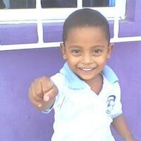 Luis Villa Barrios (@luise) 's Twitter Profile