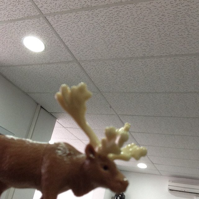 testerduck's profile picture. Cuak Cuak Cuak Cuak Cuak Cuak Cuak Cuak Cuak Cuak Cuak Cuak Cuak Cuak Cuak Cuak Cuak Cuak Cuak Cuak Cuak Cuak Cuak Cuak Cuak Cuak Cuak Cuak Cuak Cuak