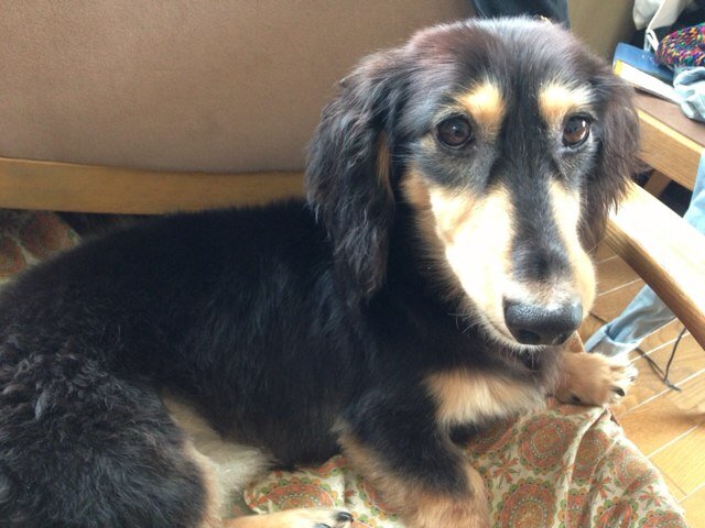 まみたす Yume0128 545に終わる