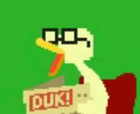 Mathematician (by trade), video game enthusiast, Duck fan, donut connoisseur