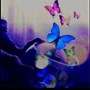 ღ ڄوُڄوُ ُْ ღ (@007Gogoali) Twitter