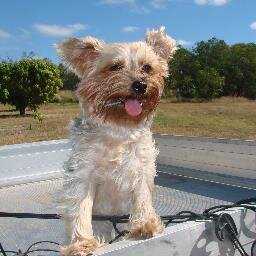 Telling people’s stories in far north Queensland since 1995