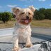 Far Out Queensland (@faroutqld) Twitter profile photo Far Out Queensland (@faroutqld) Twitter profile photo