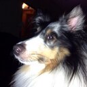 Lorna Conner - @pcateacher58 - Twitter