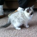 Natily Rose Koch - @TuffGuyAye - Twitter