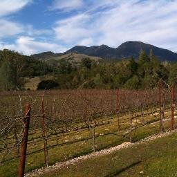 Sourcing Premium Sites and Vineyards for the Wine Industry