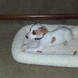 MadisonStanton4's profile picture. Hey everyone! This is my second account. You all know what I like. #RP #Whatyouwantcountdown #Hitbound #CurseofChucky