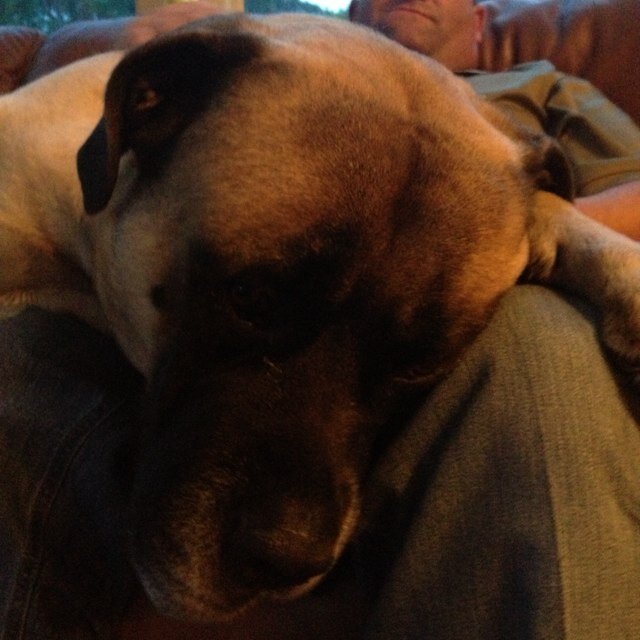 BBschuh's profile picture. 