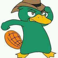 im a platypus, thats how cool I am!