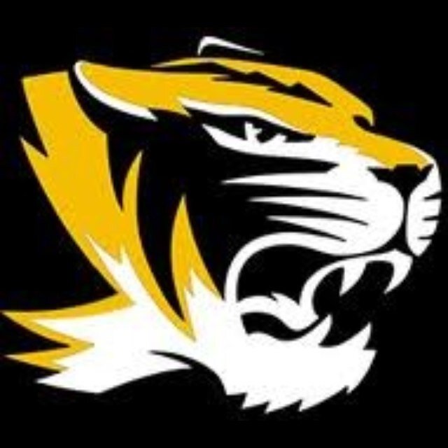 RPNinSTL's profile picture. As I've said many times in the past, what I might lack in talent I more than make up for with enthusiasm...