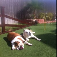 Patti Garrison (@garrisonpatti) 's Twitter Profile Photo Patti Garrison (@garrisonpatti) 's Twitter Profile Photo