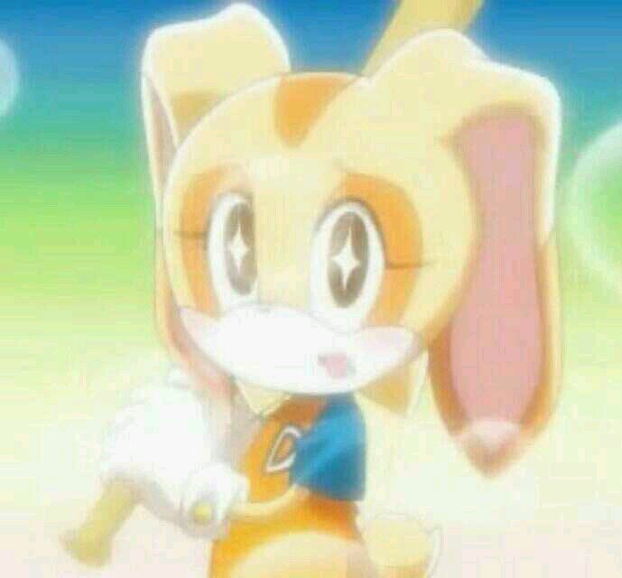Hi, my name is Cream. Pleased to meet you! This is my best friend, Cheese! {Cream holds up Cheese.} I have another Chao, as well! Her name is, Bella.