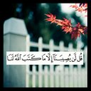almas (@011Sees) Twitter
