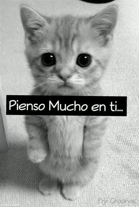 amo ser yo