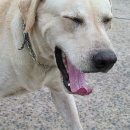 khomsun_Khamnu's profile picture. 