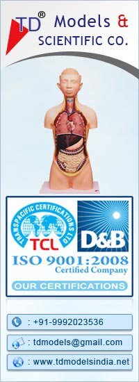 TDMODELS1's profile picture. 