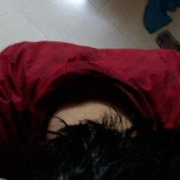 Cat Lover, Brain Eater, Nature Admirer and an Eternal Vagabond.