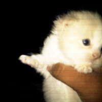 @Eavil.s (@1235boaskor) 's Twitter Profile
