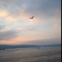 سارة بنت عبدالمحسن (@saajs2) 's Twitter Profile