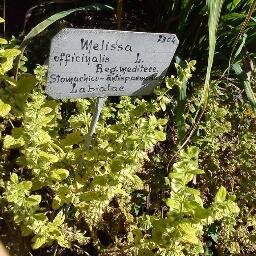 MelissaZuegg's profile picture. 