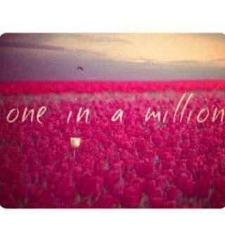 being a directioner is the best decisions i ever made. arianator.swiftie.belieber.selenator.♥ {ig:felishafirman}