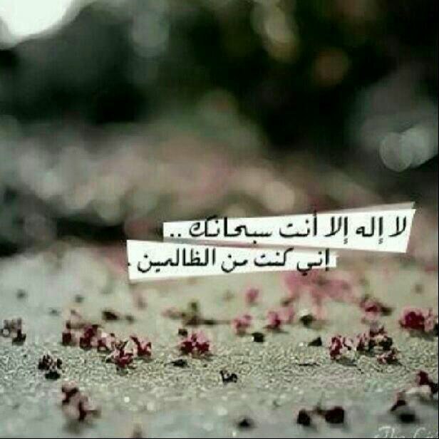 لاتفجعني يالله بفقدهم ، اللهم أحفظهم لي وأجعلني أسبقهم إليك $♡♡. استغفرالله وَ الحمد لله وَ لااله الا الله وَ الله اكبر ..