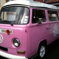 Trudie Camper (@trudiecamper) 's Twitter Profile