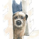 True Stories of Henry. A border Terrier. Follow his tales through a series of wonderful #children's #books.