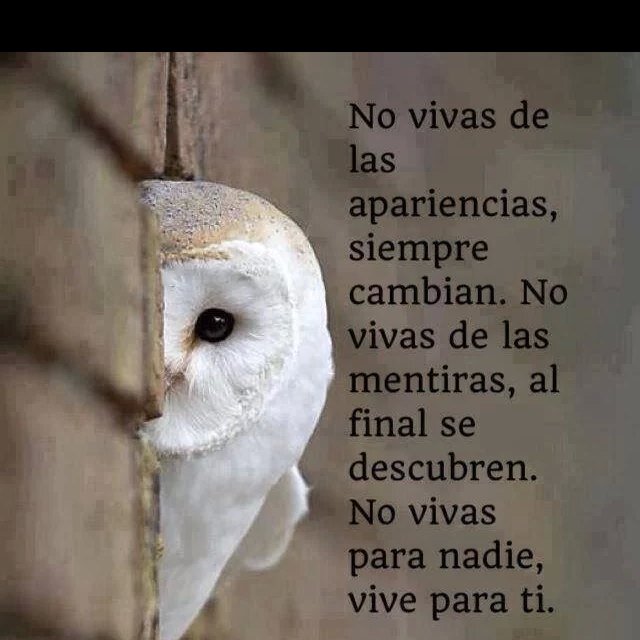 Luchando dia a dia por la Gracia de mi Dios.