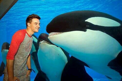 follow @izarrysheart and ASK for a follow back :)