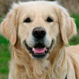 26 jaar / ICT medewerker / Getrouwd met Emma / Muziek luisteren