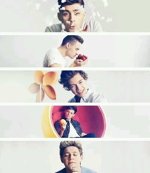 Follow  @NiallMinhaBixa .  follow everyone back, just ask :3 Gente esse twitter ñ é mais da Karol , ela me entrrgou ;)