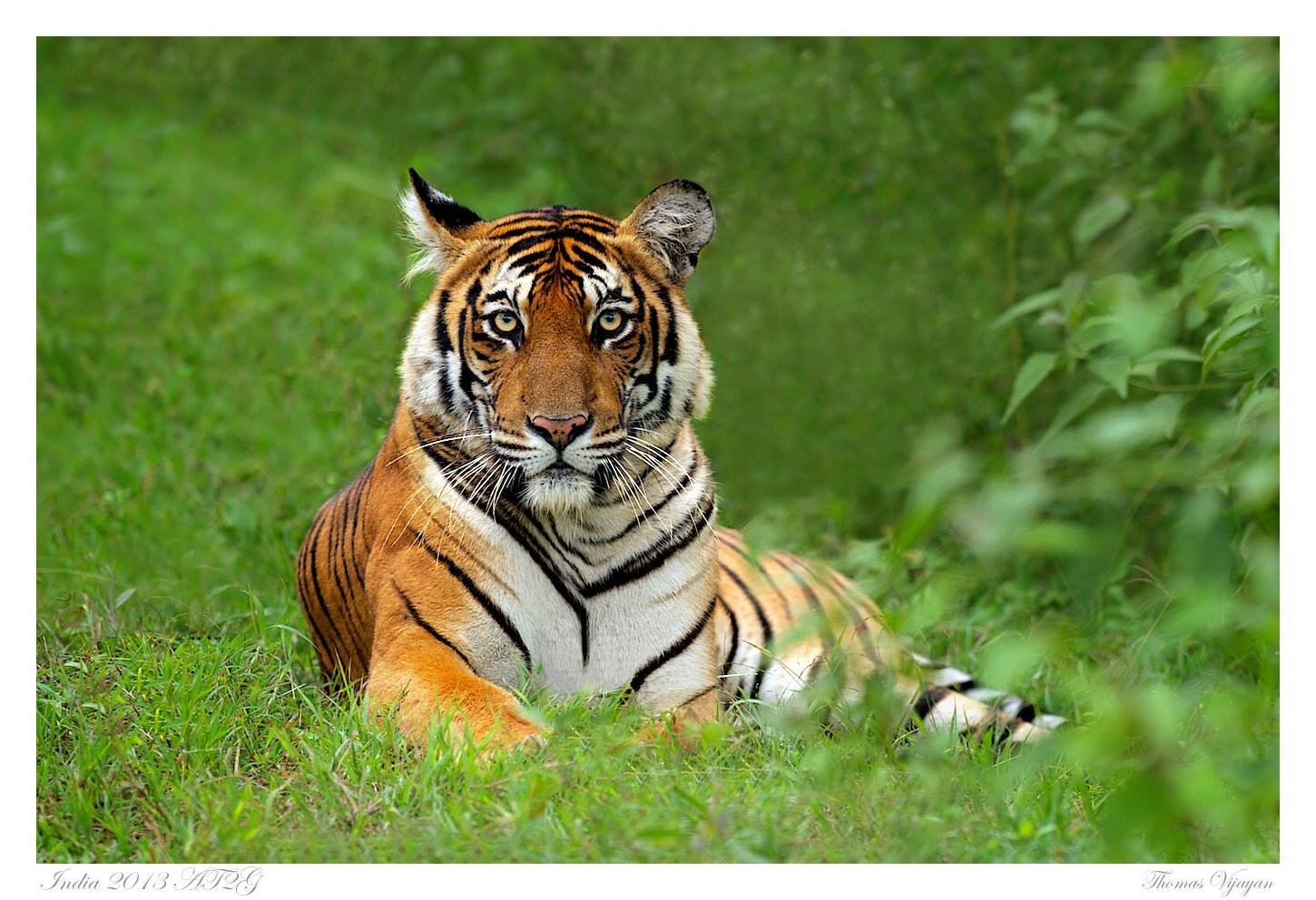 cakawarlatomson's profile picture. 