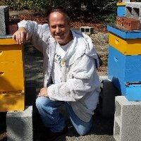 LoPhatYoda™ (@kelmitchell) 's Twitter Profile