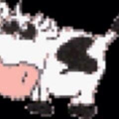 Alle fantastische dingen die Bimo zegt of doet op 1 account