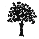 StoneTreeApps's profile picture. Melbourne based app developing team, dedicated to making the best apps going around. Producers of Ninja Bubble, Slide Aside and Jumping Block!