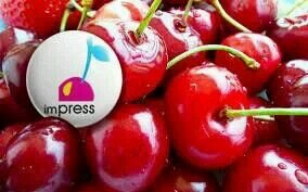 impresslbgroup's profile picture. graphic design firm that deals with graphics created with a careful eye on speed and clarity.