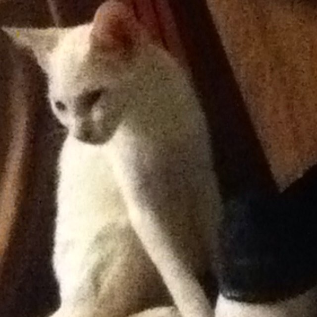 HeartsLiveOn's profile picture. about to be 19, graduated from Madison central on May 21st 2016, smoke a lot of the good stuff, follow me I'm pretty dope