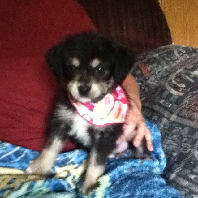 stalnaker1226's profile picture. 