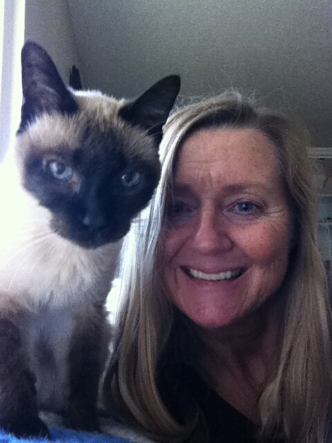 sandyrotino's profile picture. Healthcare professional, Reiki Master, Massage Therapist,  Energy Healer, Empath/Intuitive, Certified Yoga Teacher, Harley rider