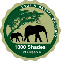 1000 Shades of Green