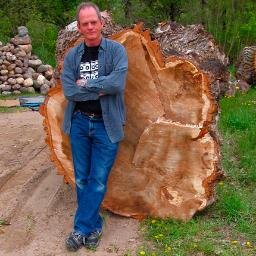 JayMcDougallArt's profile picture. Contemporary American Wood Sculptor