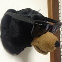 Kita (@01753596) Twitter