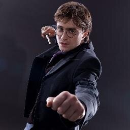 Auror. Gryffindor por siempre, mejor amigo de Hermione y Ron, la única persona conocida que ha sobrevivido la maldición de Avada Kedavra.