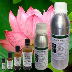 Supplier of Pure Absolutes, Highest Quality Assured